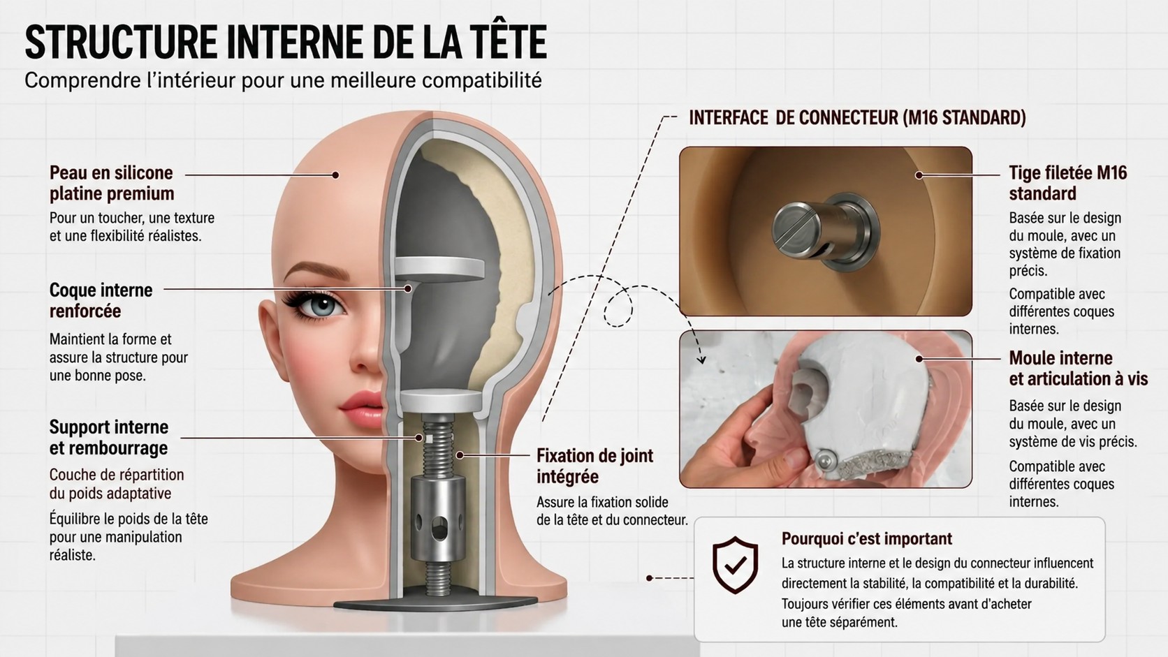 Structure visage poupée sex doll